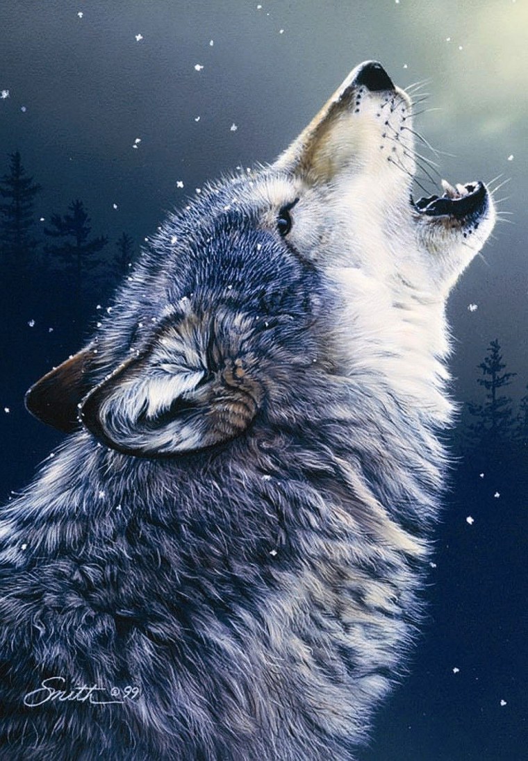 Волк на аву