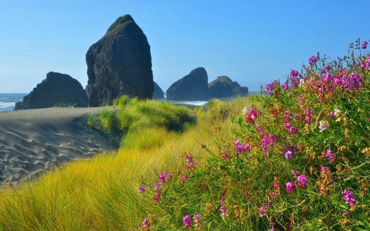 Трава на скалах