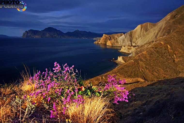 Мыс Агира Крым цветы
