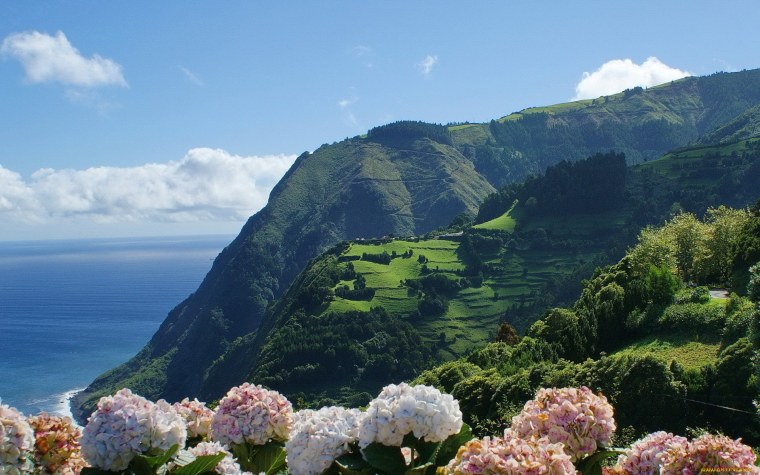 Азорские острова природа