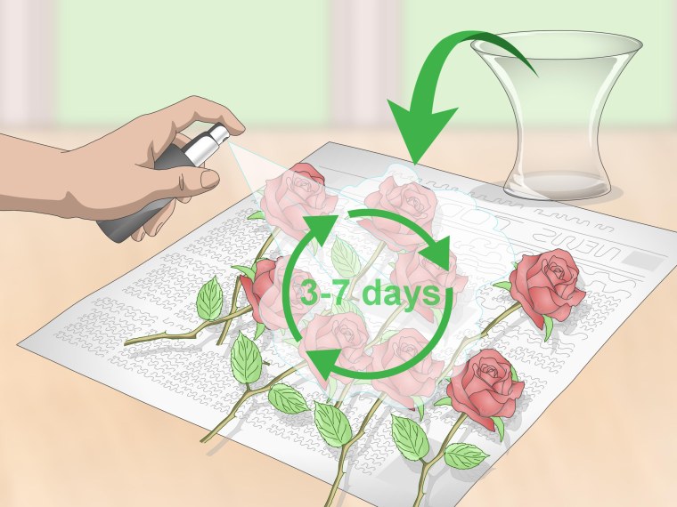 Символ экологии