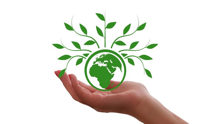 Символ природы