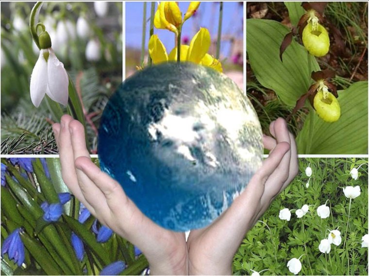 Охрана окружающей среды