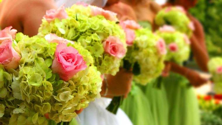 Паспорт комнатных растений в детском саду бегония вечноцветущая