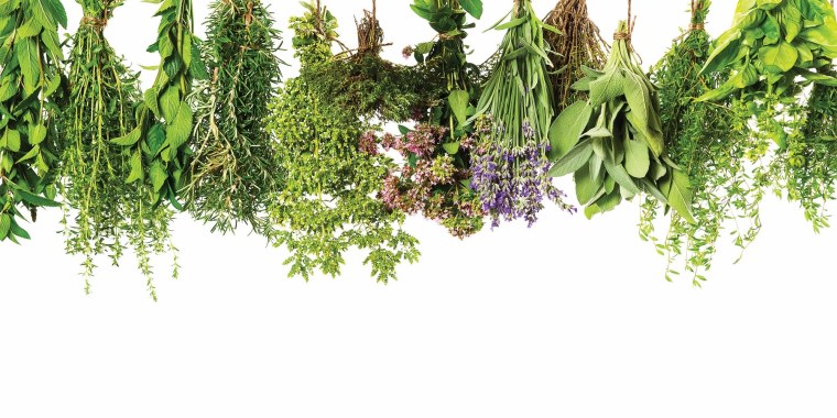 Паспорт комнатных растений в детском саду Аспидистра