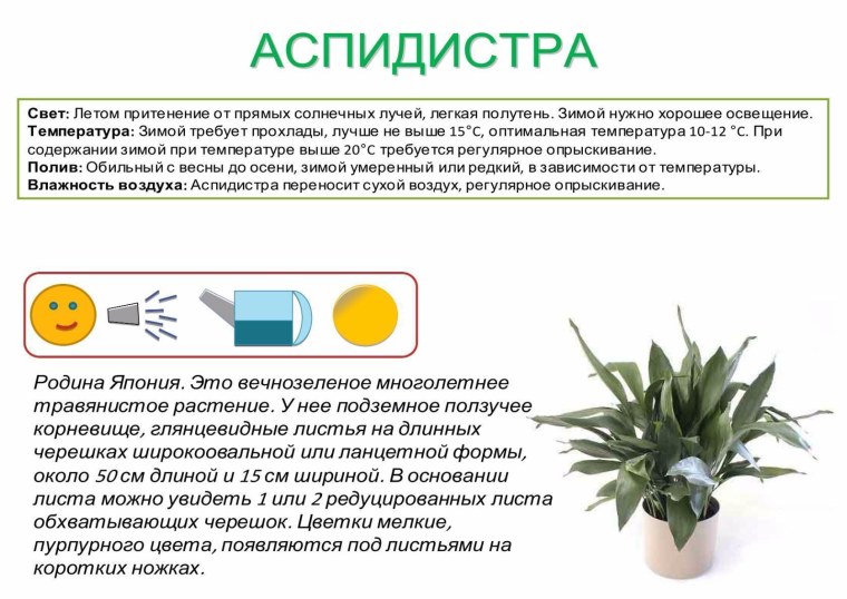 Цветовой круг Иттена цветовые сочетания