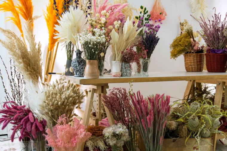 Схема посадки луковичных цветов