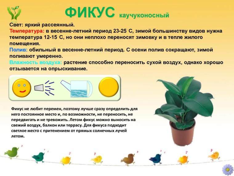 Любовь к природе