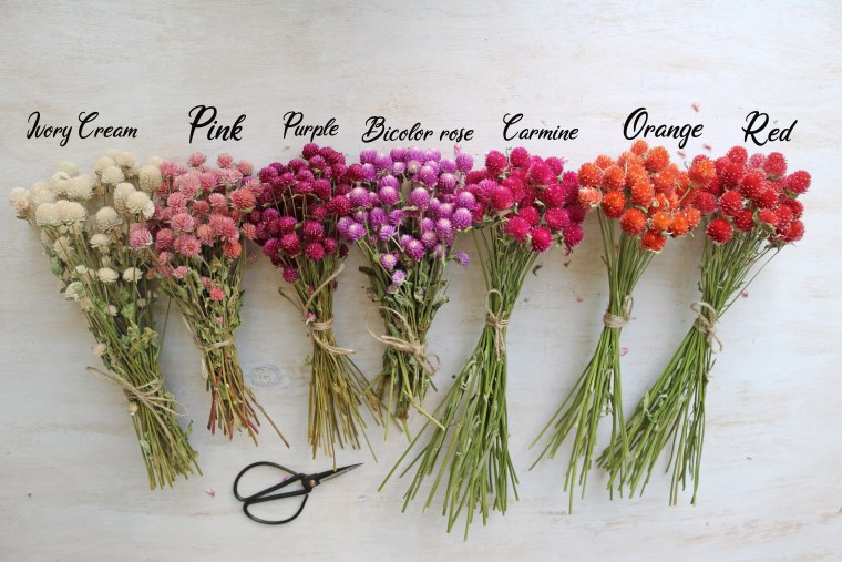 Сухие цветы для декора трендовые