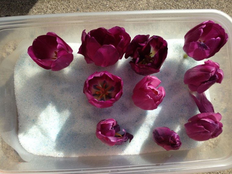 Различные растения