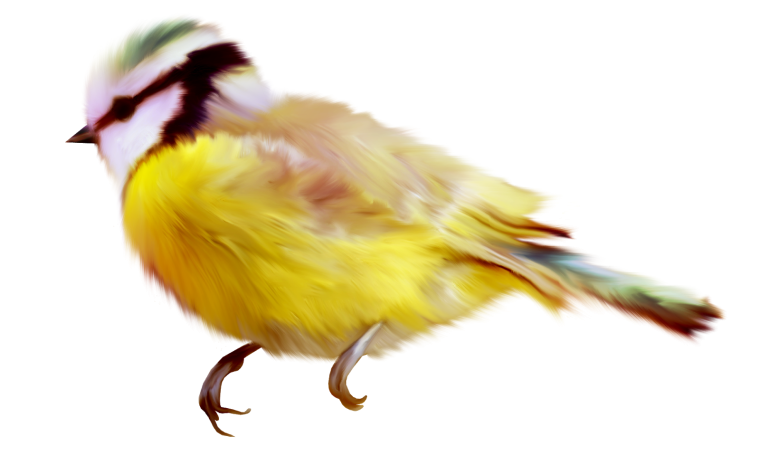 Желтая птица на белом фоне