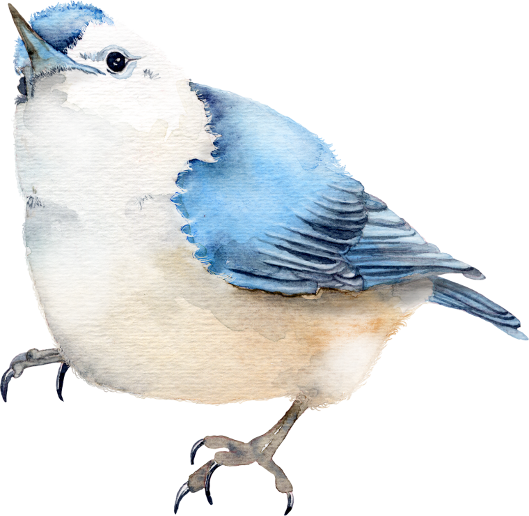 Синяя птица на прозрачном фоне