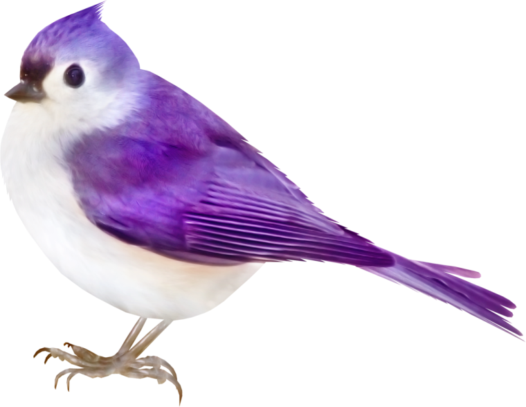 Бледный фон с птицами