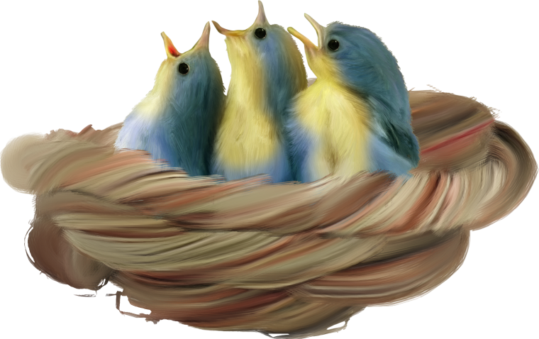 Атичи на прозрачном фоне