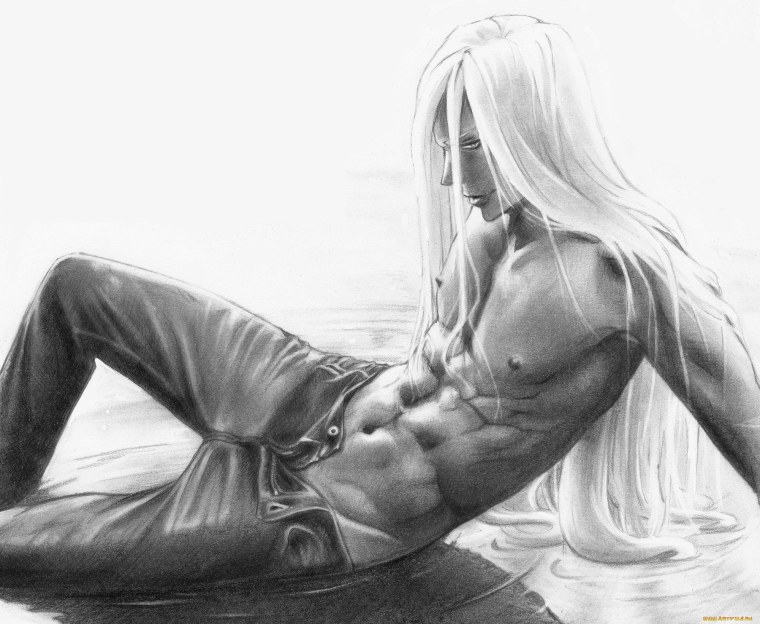 Аниме парни с торсом