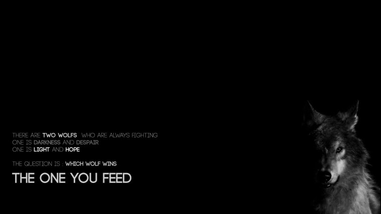 Цитаты волка