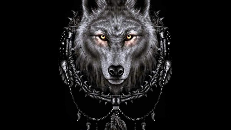 Волк на черном фоне