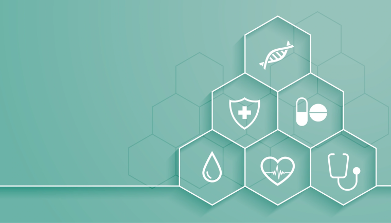 Растения арт Минимализм