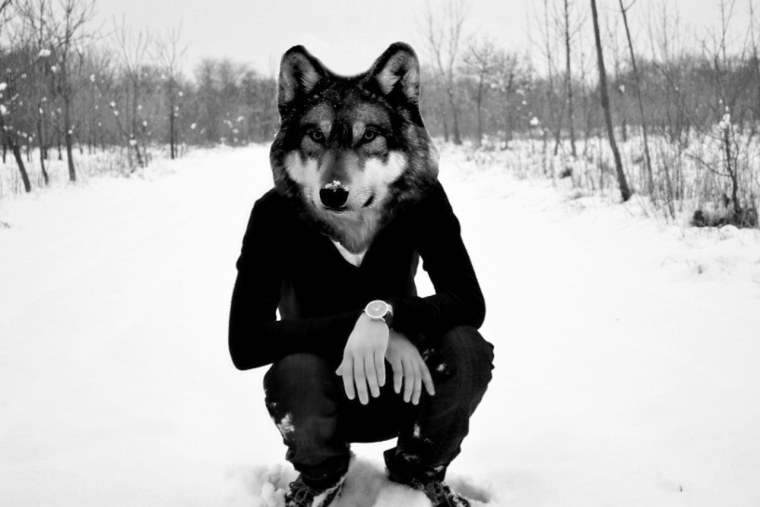 Аватарка человек с лицом волка