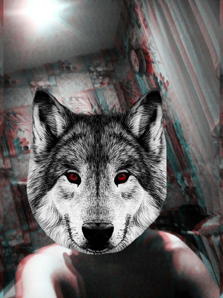 Волк Борис фурри