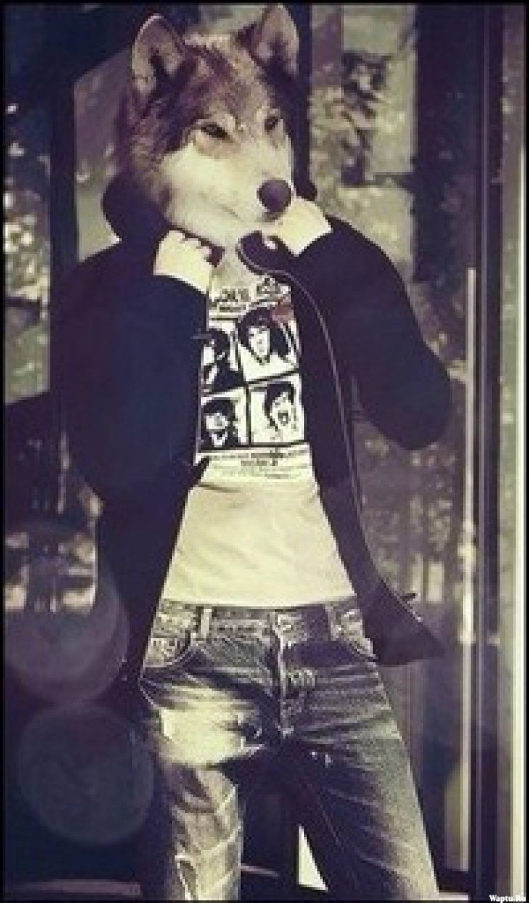 Степан Волков