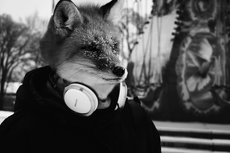 Человек с головой лисы