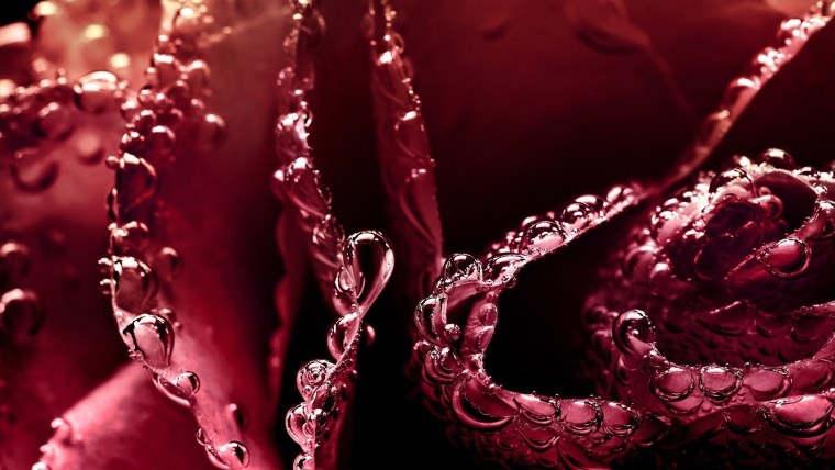 Заставка на рабочий стол мотивация