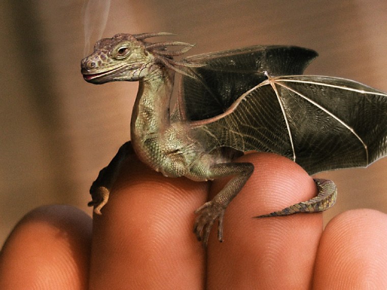 Грифон и гиппогриф