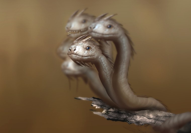 Маленький дракон