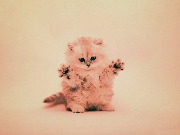 Миленькие обои