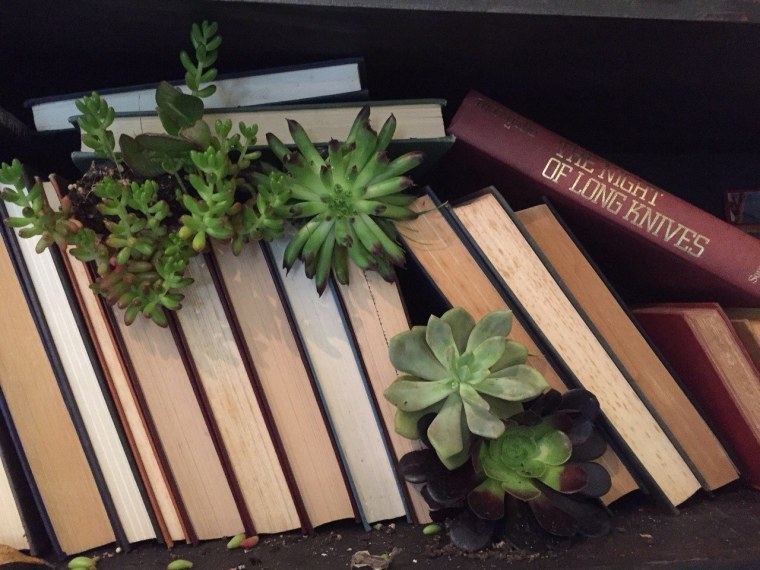 Эстетика зеленого