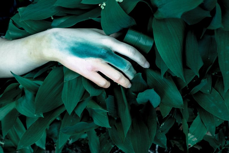 Эстетика зелёного цвета