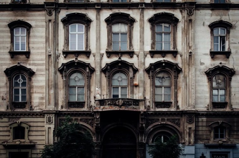 Цветы Эстетика Пинтерест