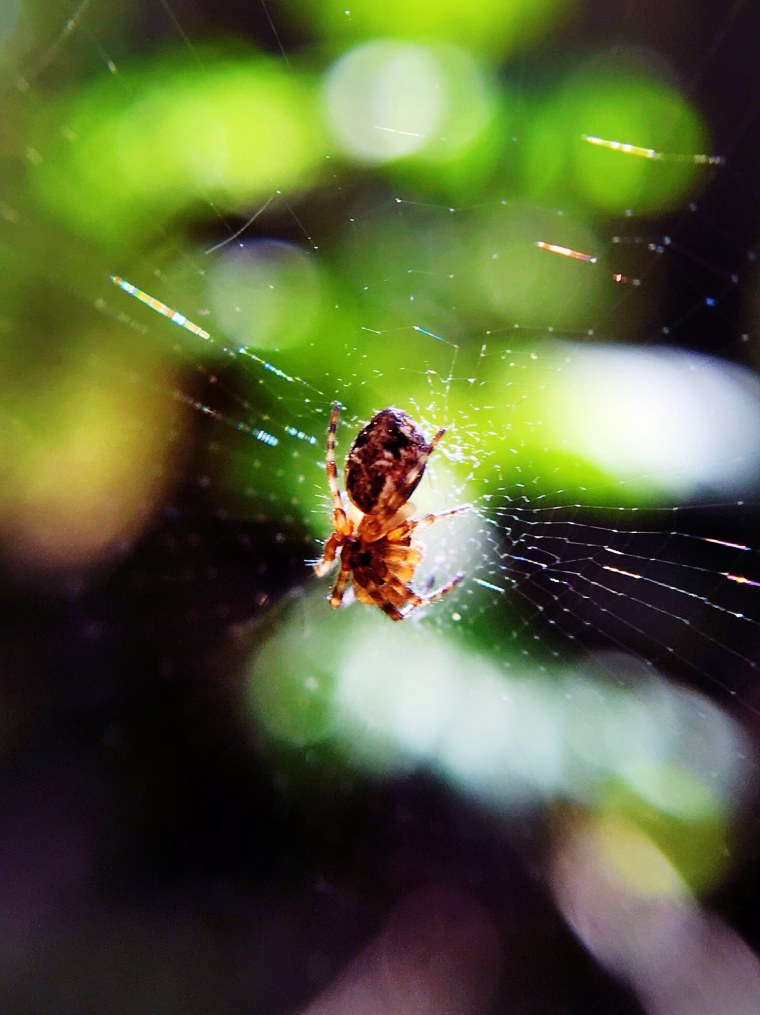 Супер Макросъемка