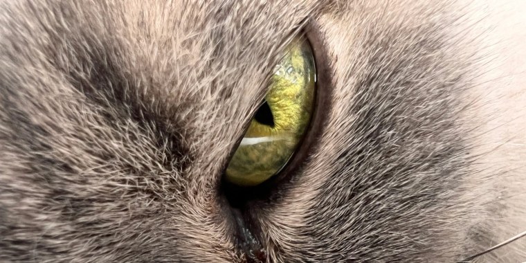 Макросъемка на айфон