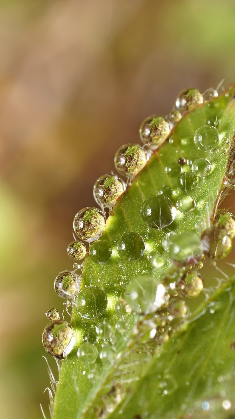 Iphone 14 Pro камера