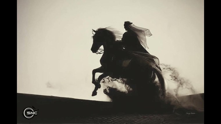 Арабский всадник