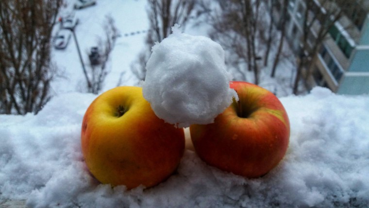 Яблоки на снегу