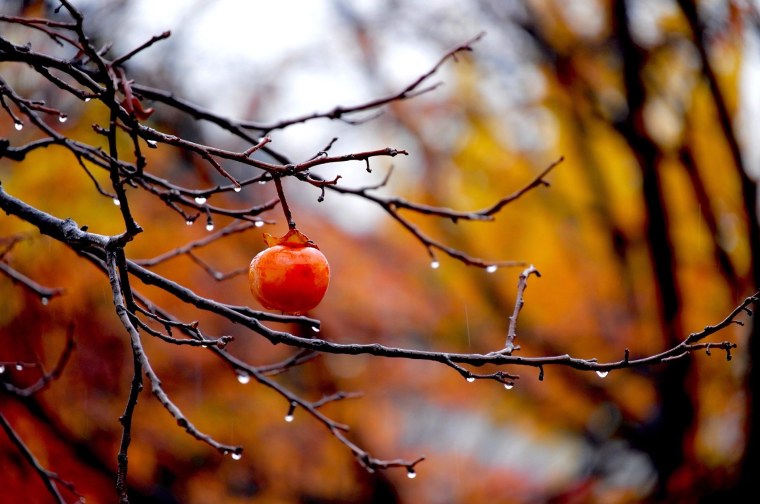 Осенний дождь