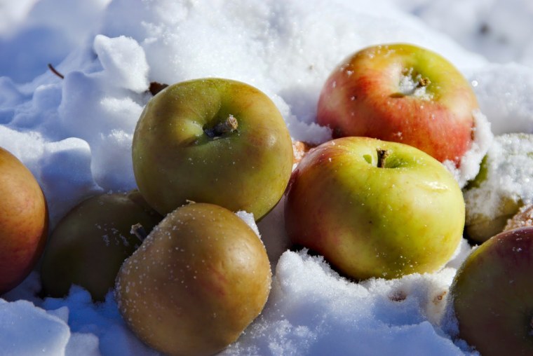 Яблоки на снегу