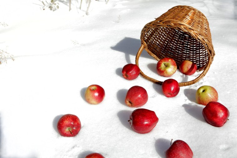 Яблоки на снегу