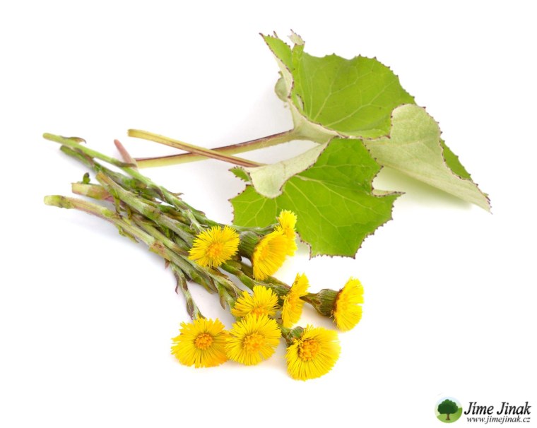 Мать и мачеха фон