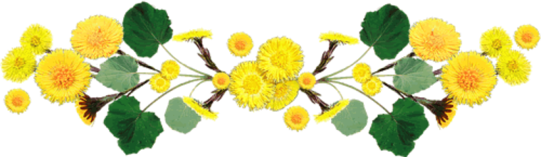 Мать и мачеха на белом фоне