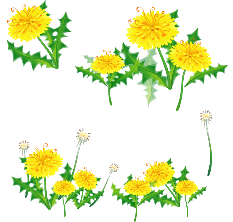 Одуванчики мультяшные