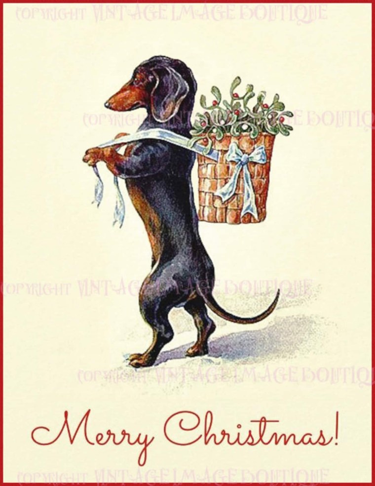 Такса с цветами