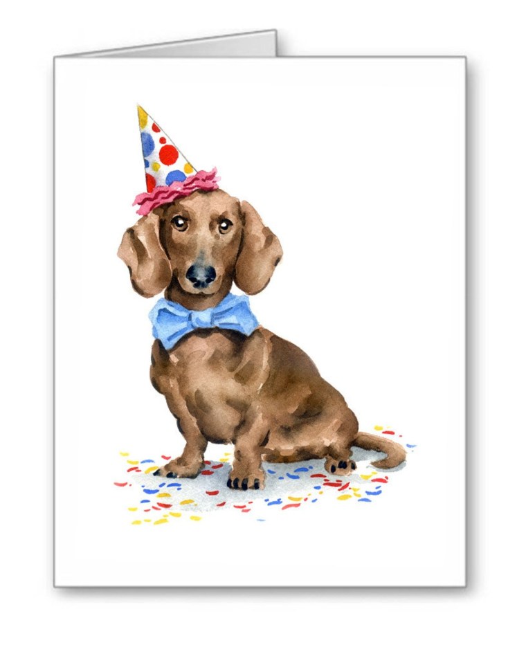 С днем рождения такса