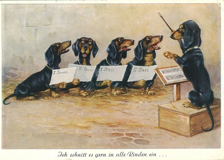 С днем рождения такса