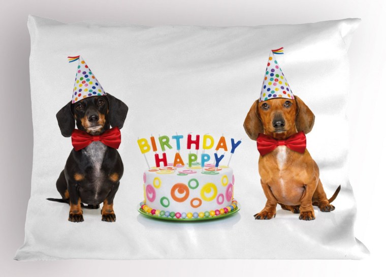 Такса поздравляет с днем рождения