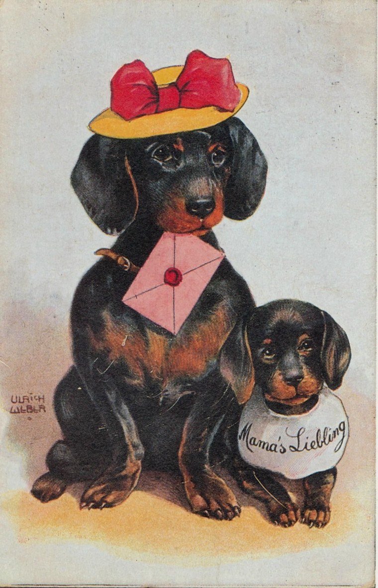 Старые открытки с таксами