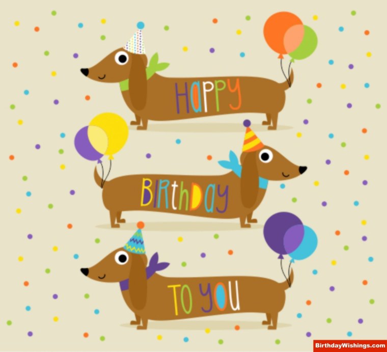 С днем рождения такса